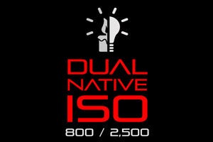 Dual Native ISO